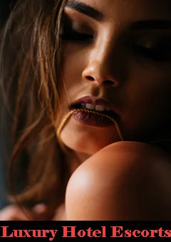 Mumbai Escort Services